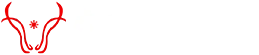 HeBei Benjiu New Energy Technology Co.,Ltd.
